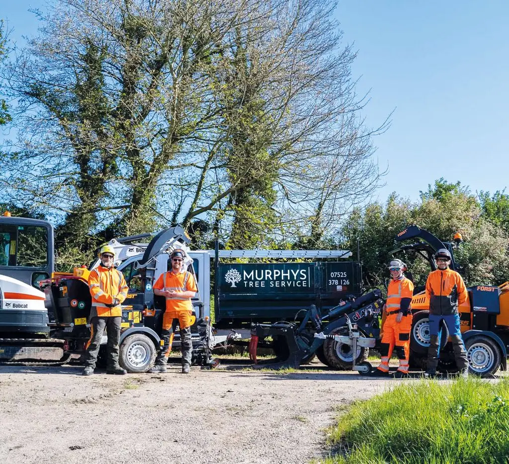 Tree Surgeon, Tree Services, Tree Care Northern Ireland, Co Down.