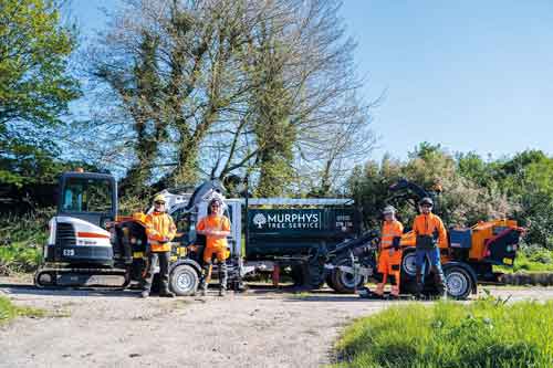 Emergency Tree Work NI